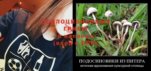 амф Дмитров