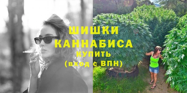 амф Дмитров