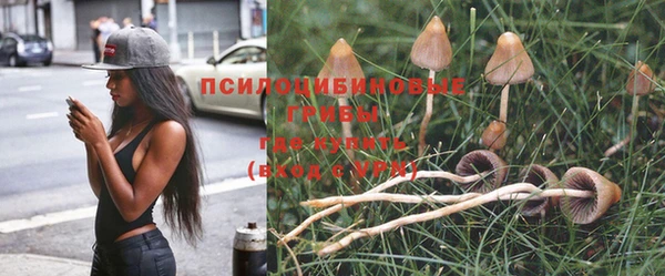 трава Дмитровск