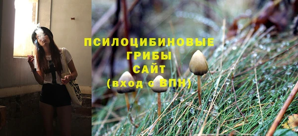 амф Дмитров