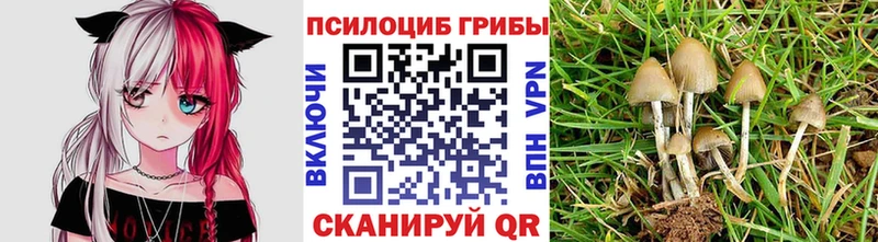 Галлюциногенные грибы мухоморы  наркота  Альметьевск 